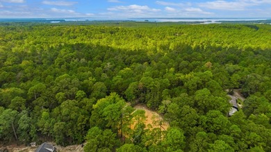 Nestled on a sprawling .6-acre canvas, this prime piece of land on Rayburn Country Club in Texas - for sale on GolfHomes.com, golf home, golf lot