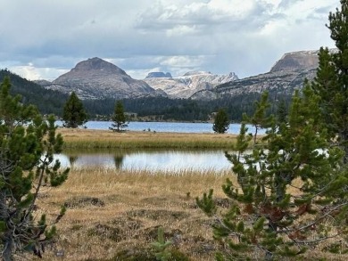 Beautiful views of surrounding area.  Lot size just over 1/3 on Red Lodge Golf Club in Montana - for sale on GolfHomes.com, golf home, golf lot