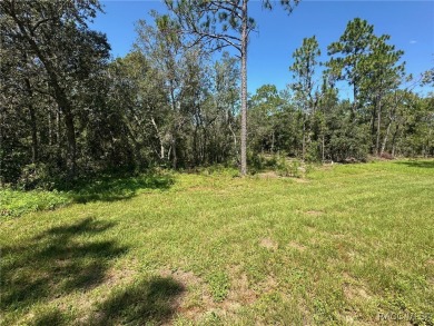 Discover this stunning, brand-new home in Citrus Springs on Citrus Springs Country Club in Florida - for sale on GolfHomes.com, golf home, golf lot