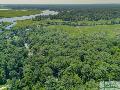 Welcome to an extraordinary opportunity to own a piece of on The Ford Field and River Club  in Georgia - for sale on GolfHomes.com, golf home, golf lot