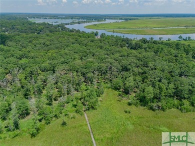 Welcome to an extraordinary opportunity to own a piece of on The Ford Field and River Club  in Georgia - for sale on GolfHomes.com, golf home, golf lot