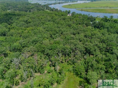 Welcome to an extraordinary opportunity to own a piece of on The Ford Field and River Club  in Georgia - for sale on GolfHomes.com, golf home, golf lot