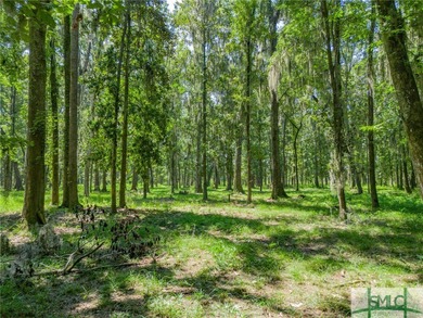 Welcome to an extraordinary opportunity to own a piece of on The Ford Field and River Club  in Georgia - for sale on GolfHomes.com, golf home, golf lot