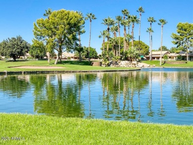 Gorgeous remodeled condo in the highly sought after on Sun Village Golf Course in Arizona - for sale on GolfHomes.com, golf home, golf lot