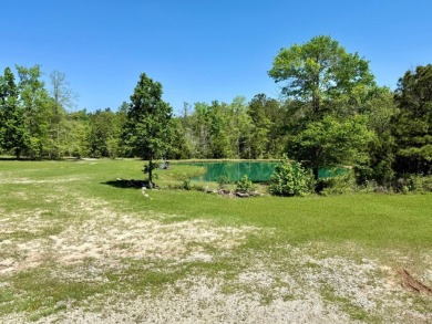 Lakeside Retreat: Spacious Home on 3.9 Acres Near Lake Sam on Rayburn Country Club in Texas - for sale on GolfHomes.com, golf home, golf lot
