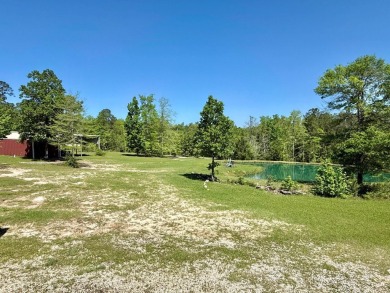 Lakeside Retreat: Spacious Home on 3.9 Acres Near Lake Sam on Rayburn Country Club in Texas - for sale on GolfHomes.com, golf home, golf lot