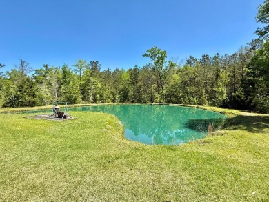 Lakeside Retreat: Spacious Home on 3.9 Acres Near Lake Sam on Rayburn Country Club in Texas - for sale on GolfHomes.com, golf home, golf lot
