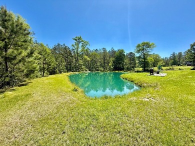 Lakeside Retreat: Spacious Home on 3.9 Acres Near Lake Sam on Rayburn Country Club in Texas - for sale on GolfHomes.com, golf home, golf lot
