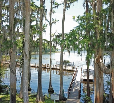 One or more photo(s) has been virtually staged. Nestled in on Highland Lakes Executive Golf Course in Florida - for sale on GolfHomes.com, golf home, golf lot