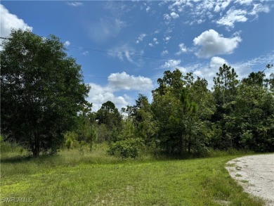 Build your dream home on this beautiful lot located in growing on Seminole Lakes Country Club in Florida - for sale on GolfHomes.com, golf home, golf lot