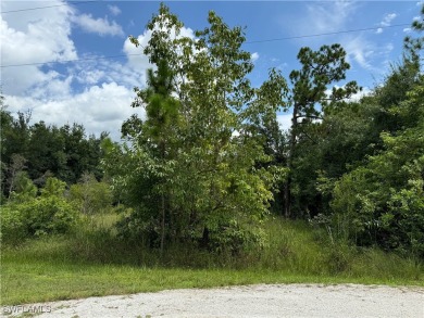 Build your dream home on this beautiful lot located in growing on Seminole Lakes Country Club in Florida - for sale on GolfHomes.com, golf home, golf lot