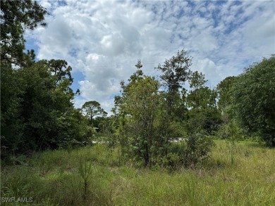 Build your dream home on this beautiful lot located in growing on Seminole Lakes Country Club in Florida - for sale on GolfHomes.com, golf home, golf lot