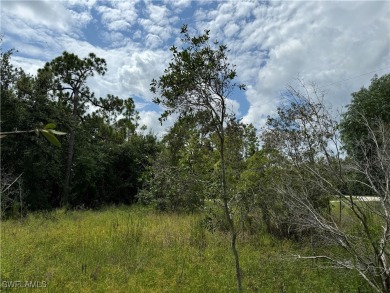 Build your dream home on this beautiful lot located in growing on Seminole Lakes Country Club in Florida - for sale on GolfHomes.com, golf home, golf lot