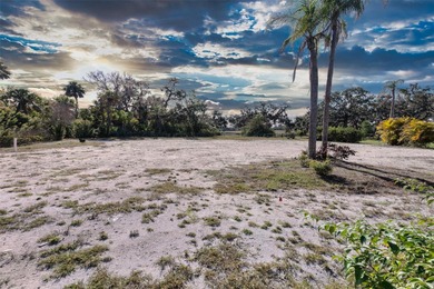 Exceptional opportunity to build in one of Parrish's most on River Wilderness Golf and Country Club in Florida - for sale on GolfHomes.com, golf home, golf lot