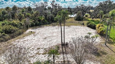 Exceptional opportunity to build in one of Parrish's most on River Wilderness Golf and Country Club in Florida - for sale on GolfHomes.com, golf home, golf lot