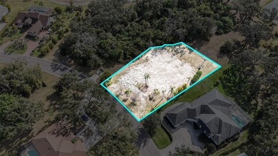 Exceptional opportunity to build in one of Parrish's most on River Wilderness Golf and Country Club in Florida - for sale on GolfHomes.com, golf home, golf lot