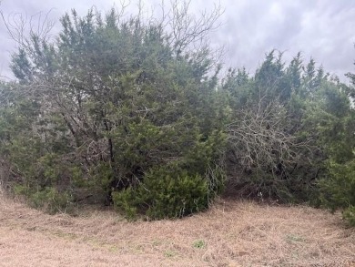 Come enjoy all the amenities with the well-priced lot in White on White Bluff Resort - New Course in Texas - for sale on GolfHomes.com, golf home, golf lot