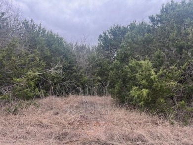 Come enjoy all the amenities with the well-priced lot in White on White Bluff Resort - New Course in Texas - for sale on GolfHomes.com, golf home, golf lot