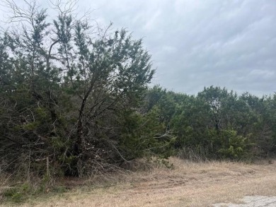 Come enjoy all the amenities with the well-priced lot in White on White Bluff Resort - New Course in Texas - for sale on GolfHomes.com, golf home, golf lot