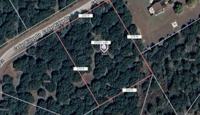 Come enjoy all the amenities with the well-priced lot in White on White Bluff Resort - New Course in Texas - for sale on GolfHomes.com, golf home, golf lot