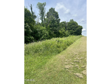 Come build your dream home in this beautiful subdivision nestled on Graysburg Hills Golf Courses in Tennessee - for sale on GolfHomes.com, golf home, golf lot