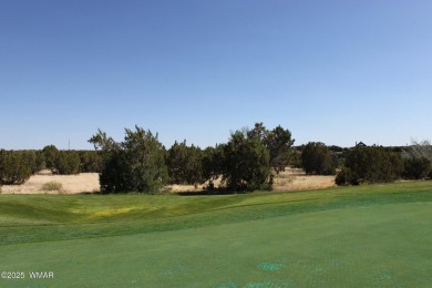 Build your dream home on this stunning 1/2 acre lot located on Silver Creek Golf Club in Arizona - for sale on GolfHomes.com, golf home, golf lot