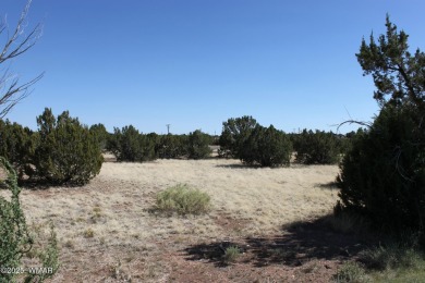 Build your dream home on this stunning 1/2 acre lot located on Silver Creek Golf Club in Arizona - for sale on GolfHomes.com, golf home, golf lot