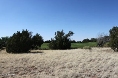 Build your dream home on this stunning 1/2 acre lot located on Silver Creek Golf Club in Arizona - for sale on GolfHomes.com, golf home, golf lot