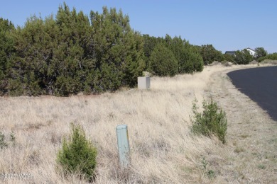 Build your dream home on this stunning 1/2 acre lot located on Silver Creek Golf Club in Arizona - for sale on GolfHomes.com, golf home, golf lot