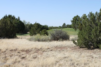 Build your dream home on this stunning 1/2 acre lot located on Silver Creek Golf Club in Arizona - for sale on GolfHomes.com, golf home, golf lot