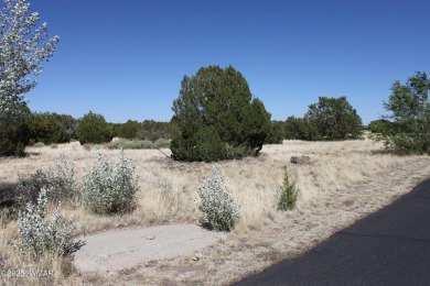 Build your dream home on this stunning 1/2 acre lot located on Silver Creek Golf Club in Arizona - for sale on GolfHomes.com, golf home, golf lot