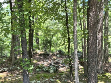 Welcome to 50 Monovar Circle- a single level with great on DeSoto Golf Course in Arkansas - for sale on GolfHomes.com, golf home, golf lot