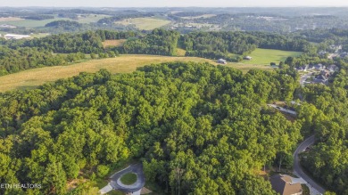 Nestled in a serene setting, this property offers a unique sense on Tellico Village Golf Club in Tennessee - for sale on GolfHomes.com, golf home, golf lot