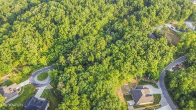 Nestled in a serene setting, this property offers a unique sense on Tellico Village Golf Club in Tennessee - for sale on GolfHomes.com, golf home, golf lot
