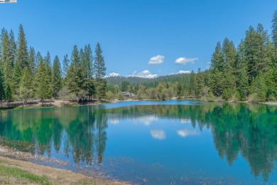 Charming A-Frame Cabin in Blue Lake Springs Country Club - on Sequoia Woods Country Club in California - for sale on GolfHomes.com, golf home, golf lot