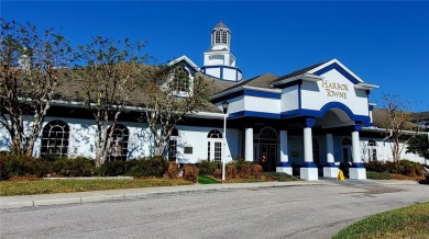 ** GOLF COURSE LIVING! **  Dynamic views overlooking the 3rd on Heritage Harbor Golf and Country Club in Florida - for sale on GolfHomes.com, golf home, golf lot