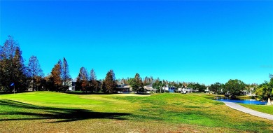 ** GOLF COURSE LIVING! **  Dynamic views overlooking the 3rd on Heritage Harbor Golf and Country Club in Florida - for sale on GolfHomes.com, golf home, golf lot