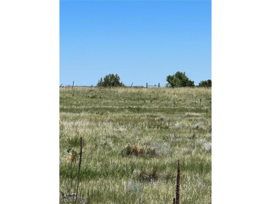 This property is one of over 140 individual lots being sold on Hollydot Golf Course in Colorado - for sale on GolfHomes.com, golf home, golf lot