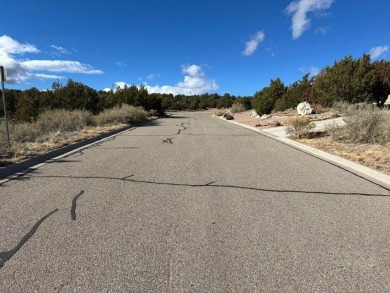 Offering a fabulous elevated one-acre lot on a high quiet on Paa-Ko Ridge Golf Club  in New Mexico - for sale on GolfHomes.com, golf home, golf lot