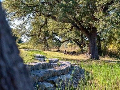 OWNER-FINANCING AVAILABLE!!  Welcome to a rare opportunity at on The Retreat in Texas - for sale on GolfHomes.com, golf home, golf lot