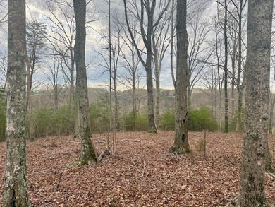Don't miss this rare opportunity to own two elevated wooded lots on Links At Lily Creek Resort in Kentucky - for sale on GolfHomes.com, golf home, golf lot