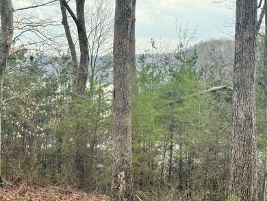 Don't miss this rare opportunity to own two elevated wooded lots on Links At Lily Creek Resort in Kentucky - for sale on GolfHomes.com, golf home, golf lot