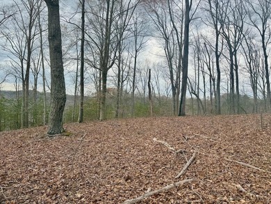 Don't miss this rare opportunity to own two elevated wooded lots on Links At Lily Creek Resort in Kentucky - for sale on GolfHomes.com, golf home, golf lot
