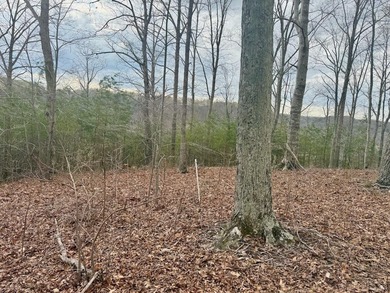 Don't miss this rare opportunity to own two elevated wooded lots on Links At Lily Creek Resort in Kentucky - for sale on GolfHomes.com, golf home, golf lot