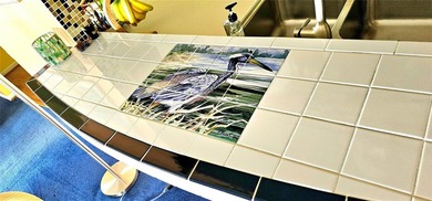 Located in the very desirable and affordable Mainlands of on Mainlands Golf Club in Florida - for sale on GolfHomes.com, golf home, golf lot