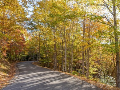 Perched 4,000 feet in the heart of the Blue Ridge Mountains on Balsam Mountain Preserve in North Carolina - for sale on GolfHomes.com, golf home, golf lot