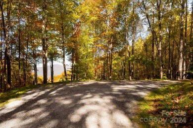 Perched 4,000 feet in the heart of the Blue Ridge Mountains on Balsam Mountain Preserve in North Carolina - for sale on GolfHomes.com, golf home, golf lot