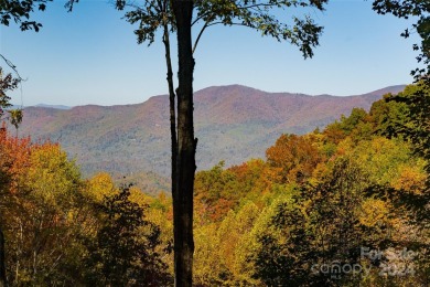 Perched 4,000 feet in the heart of the Blue Ridge Mountains on Balsam Mountain Preserve in North Carolina - for sale on GolfHomes.com, golf home, golf lot