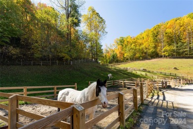 Perched 4,000 feet in the heart of the Blue Ridge Mountains on Balsam Mountain Preserve in North Carolina - for sale on GolfHomes.com, golf home, golf lot