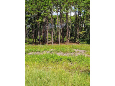 The absolute best cleared bay vies lot in St James Bay Golf & on St. James Bay in Florida - for sale on GolfHomes.com, golf home, golf lot